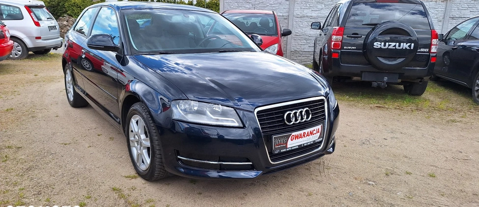 Audi A3 cena 25900 przebieg: 159000, rok produkcji 2009 z Żnin małe 326